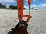 General Appearance with Paint