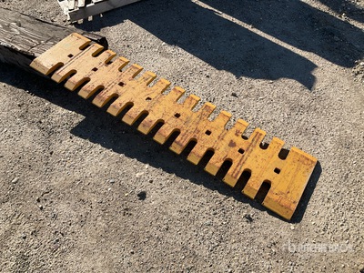 Cat 68 in Lamier
