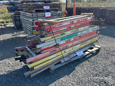 Quantity of (8) Ladder