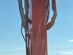 Aspect général with Vitres de cabine
