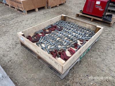 Quantity of Shackle