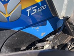 General Appearance with Paint