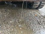 Engine with Fuel Leaks