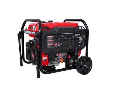 2026 SDLBP12000 gasoline Generator (Unused)