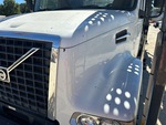 General Appearance with Paint
