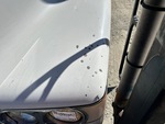 General Appearance with Paint