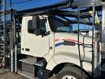 General Appearance with Paint