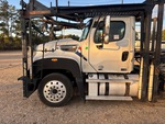 General Appearance with Paint