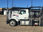 General Appearance with Paint
