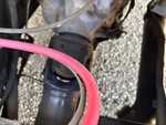 Underbody with Transmission