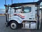 General Appearance with Paint