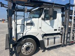 General Appearance with Paint