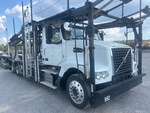 General Appearance with Paint