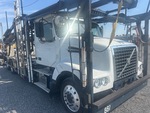 General Appearance with Paint