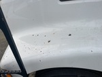 General Appearance with Paint