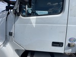 General Appearance with Paint