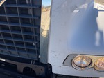 General Appearance with Paint