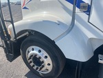 General Appearance with Paint