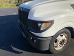General Appearance with Paint