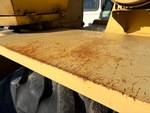 General Appearance with Paint