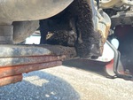 Underbody with Suspension Bushings