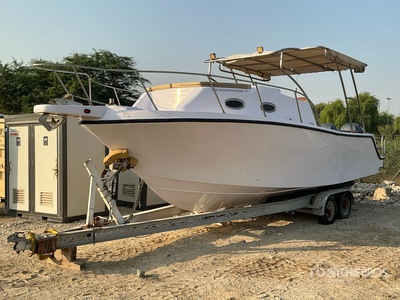 9 m Jet Boat w/ T/A Trailer