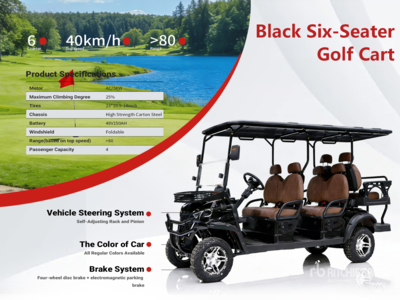 2026 HQ100 Electric Black Six-Seater Veicolo per campo da golf (Unused)
