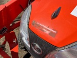General Appearance with Paint
