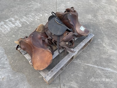 Qte De Selle D'Equitation Qty Of Horse Saddle Parti varie