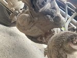 Underbody with Front Drive Axle