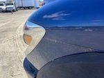 General Appearance with Paint