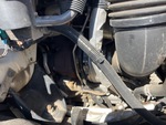 Engine with Exhaust System