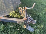 Trailer Chassis with 