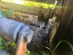 Trailer Chassis with Springs/Hangers Condition