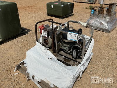 (2) Assorted Centrifugal Pumps