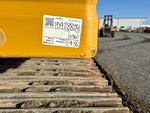 General Appearance with Paint