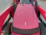 General Appearance with Paint