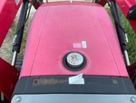 General Appearance with Paint