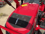 General Appearance with Paint