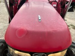 General Appearance with Paint