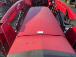 General Appearance with Paint