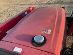 General Appearance with Paint