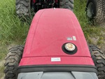 General Appearance with Paint