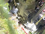 Drivetrain with Rear Drive Axle