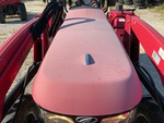 General Appearance with Paint