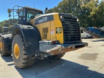 General Appearance with Paint