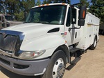 General Appearance with Paint