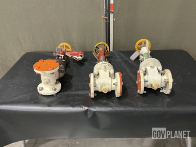 (3) Young & Cunningham 2829/A/2INS Globe Valves