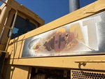 General Appearance with Paint