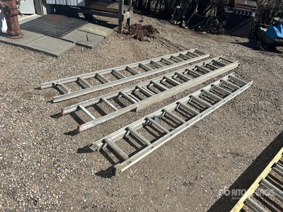Quantity of (3) Ladder